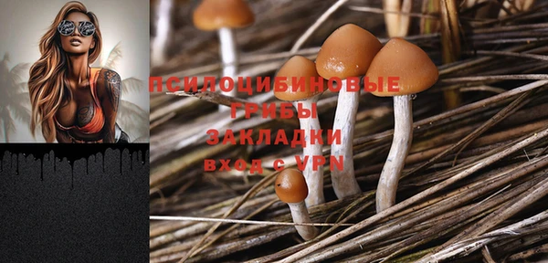 PSILOCYBIN Верхнеуральск