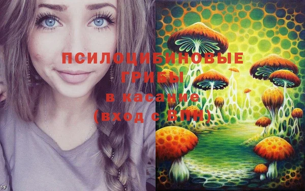 PSILOCYBIN Верхнеуральск